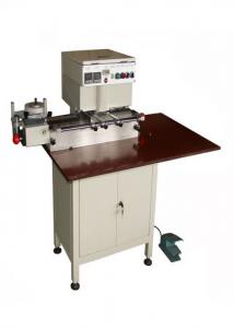 Wholesale Plastic Sheet Tab Cutting Machine Min Tape Size 110x85mm Control Control from china suppliers