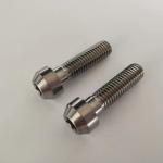 Customized Titanium Gr2 gr5 Torx Socket Head Bolts Screws for Bicycle Brake