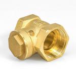 DN25 DN15-DN50 Non Return One Way Check Valve Port Size Customized