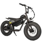 60-70 Nm Torque Little Fat Tire Electric Dirt Bike for Kids 13AH Chopper