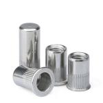 ISO9001 2015 Certified M4/5/6/8/10/12 Carbon Steel Rivet Nuts with Big