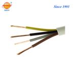 RVV Cable 300/500V H05VV-F Muti Core PVC Insulated And Sheath Flexible Wiring