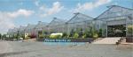 PE protective film customized green house for agriculture anti frost,Venlo Glass