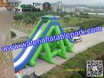 Giant Inflatable Water Slide For Adult , Hippo Inflatable Slide In Amusement