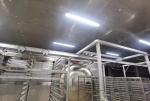 Food Freeze Dryer Equipment Drying Olive Freeze Dryer Machine