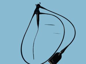 Wholesale ENF-V3 Video Nasal Endoscope Bright Wide FOV 2.9mm Field Of View 90 Degrees from china suppliers