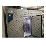 Large Low-Temperature Fruit / Vegetable / Milk / Food Storage Cold Room
