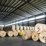 Aluminum Clad Steel Strand for Third Party Inspection Aerial Electricity