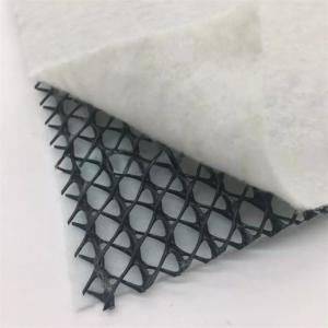 Wholesale CE/ISO9001/ISO14001 Certified 3D Drainage Net Road Base Geonet for Stable Construction from china suppliers