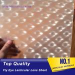 PLASTIC LENTICULAR best selling 3d fly printing film 360 fly eye sheet fly eye