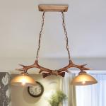 Authentic antler chandelier for indoor home Lighting Fixtures (WH-AC-16)