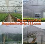 Perforated plastic mulch film save drilling troubles,perforated agricultural