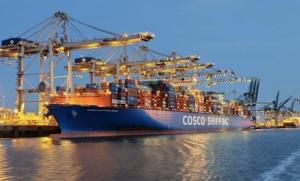 Wholesale Amazon FBA Walmart Sea Freight Agent from china suppliers