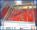 Full / Semi Automatic Tomato Processing Equipment For Tomato Processing Plant