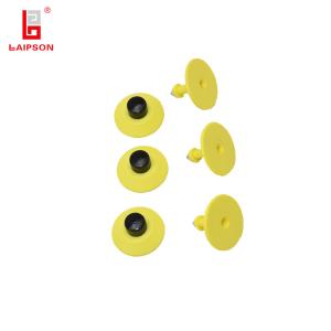 Wholesale Small Tamper Proof Hog Ear Tags , Swine Ear Tags Plastic Tpu Material from china suppliers