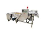 SUS 304 500kg/h Air Bubble vegetable sanitizer machine