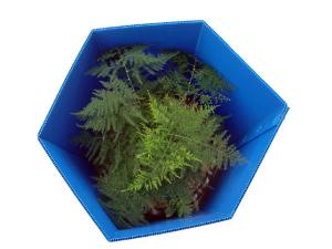 Wholesale Polygonal Corrugated Plastic Tree Protectors Eco Friendly Weather Proof from china suppliers