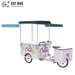 EQT 138L Fridge Ice Cream Tricycle Cargo Bike For Sale High Quality Front