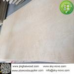 Maple plywood