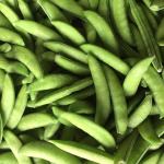 No Allergens New Crop Bulk IQF Frozen Sugar Snap Peas