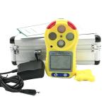 4 In 1 Combined Gas Detector