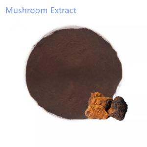 China 30% 60% Organic Chaga Mushroom Extract Health Food Use on sale