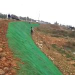 3D Geomat Onsite Inspection Service and Firm Grass Seed Distribution for Slope