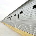 Square Pipe Steel Poultry Shed Structure Heat Insulation Local Wind Load