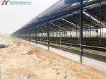 Steel Cattle Sheds Easy Install Prefabricated Cow Farm Building