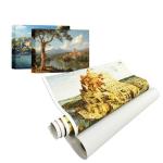 Aqueous Pure Cotton Canvas Roll 360gsm Acid Free For Canon Printer