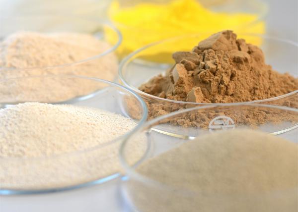 pH Range 6.0-9.0 Bioenergy Enzymes To Reduce Hole Spots And Improve Paper