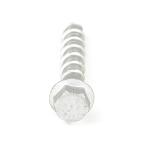 100% QC Tested Hex Flange Stainless Steel Concrete Anchors Bolt for Supporting