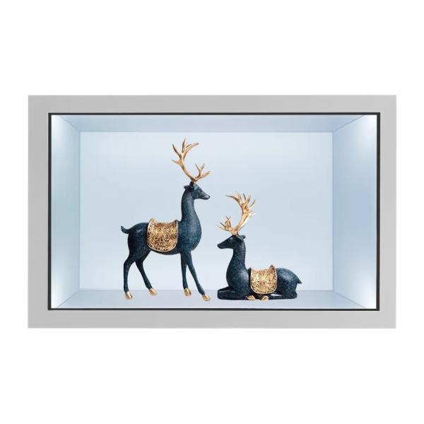 21.5 Inch Transparent LCD Showcase Capacitive Touch Screen Digital Display