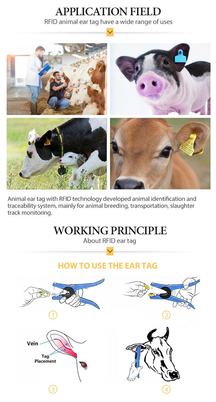 ODM LF RFID Application Animal Ear Tag Hdx Reusable Open Head With Laser Printing