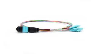 Wholesale 12 cores MTP ( male ) - LC Fanout 0.9mm 30cm OM3 10G - 100G for MTP-LC cassette &amp; Patch panel from china suppliers