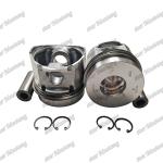 Industrial Metal Piston F3L1011 4174711 for High Durability and Performance