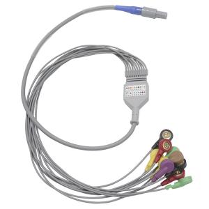 Wholesale Biomedical Instruments 10 leads Holter ECG Cable and Leadwires from china suppliers