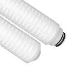 High Flow Rate PFA Pleated Filter Cartridge 0.1 0.22 0.45 Micron for Liquid