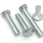 Availble Custom Carriage Bolt 8.8 Hot Dip Galvanized Hdg Carriage Bolt