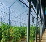 20GP 40GP 40HC Span Multi PE Film Plastic Agriculture Greenhouse Kit for Multi