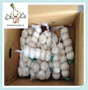 Wholesale Common fresh normal white garlic, ordinary fresh red garlic price in China from china suppliers