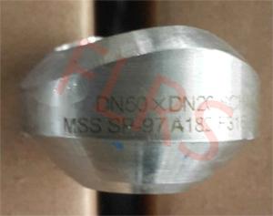 Wholesale MSS SP97 Butt Weld Outlet Pipe Fittings Reinforced Forged Stainless Steel A182 F316L from china suppliers