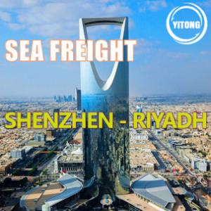 China Via Dammam Global Sea Freight From China To Saudi Arabia Worldwide Shipping Agent on sale
