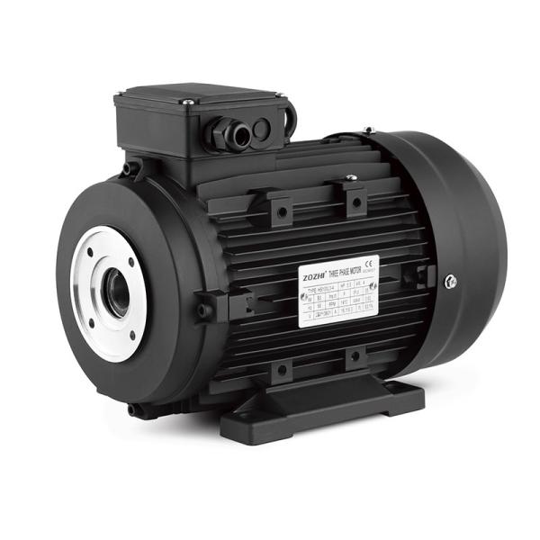 Electric AC Induction Motor With Hollow Shaft for High Pressure Cleaner and Car