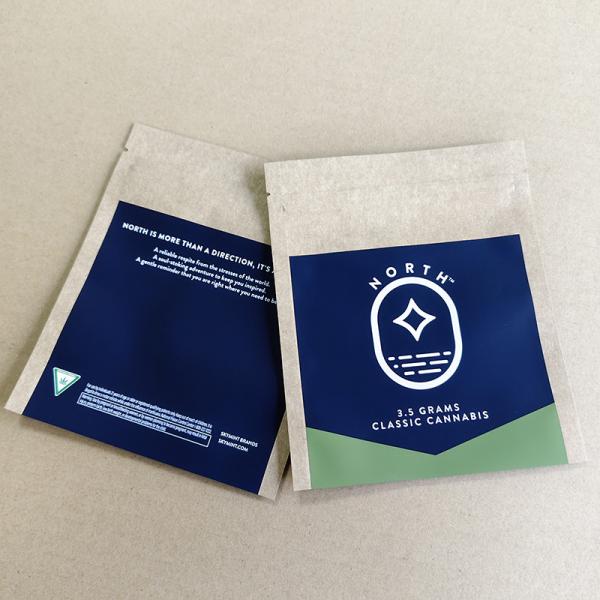 Custom Printed Kraft Paper Bags Bulk Order Eco-Friendly 10-Color Logo Printing