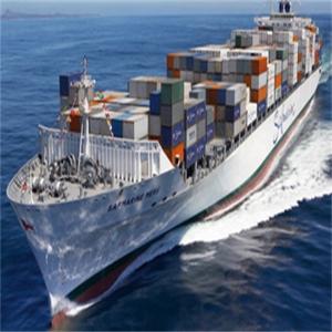 Wholesale Full Sea Container Shipping Agent for Brazil Ecuador to South American Ocean Freight Logistics Service Freight Forwarder from china suppliers