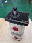 Caproni Group 20 Series Gear Pump / High Pressure Double Pump
