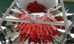 Plastic Tray Multihead Weigher Packing Machine Automatic Filling