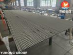 Stainless Steel Seamless 310H Tubes ASME SA213 for HRSG Applications