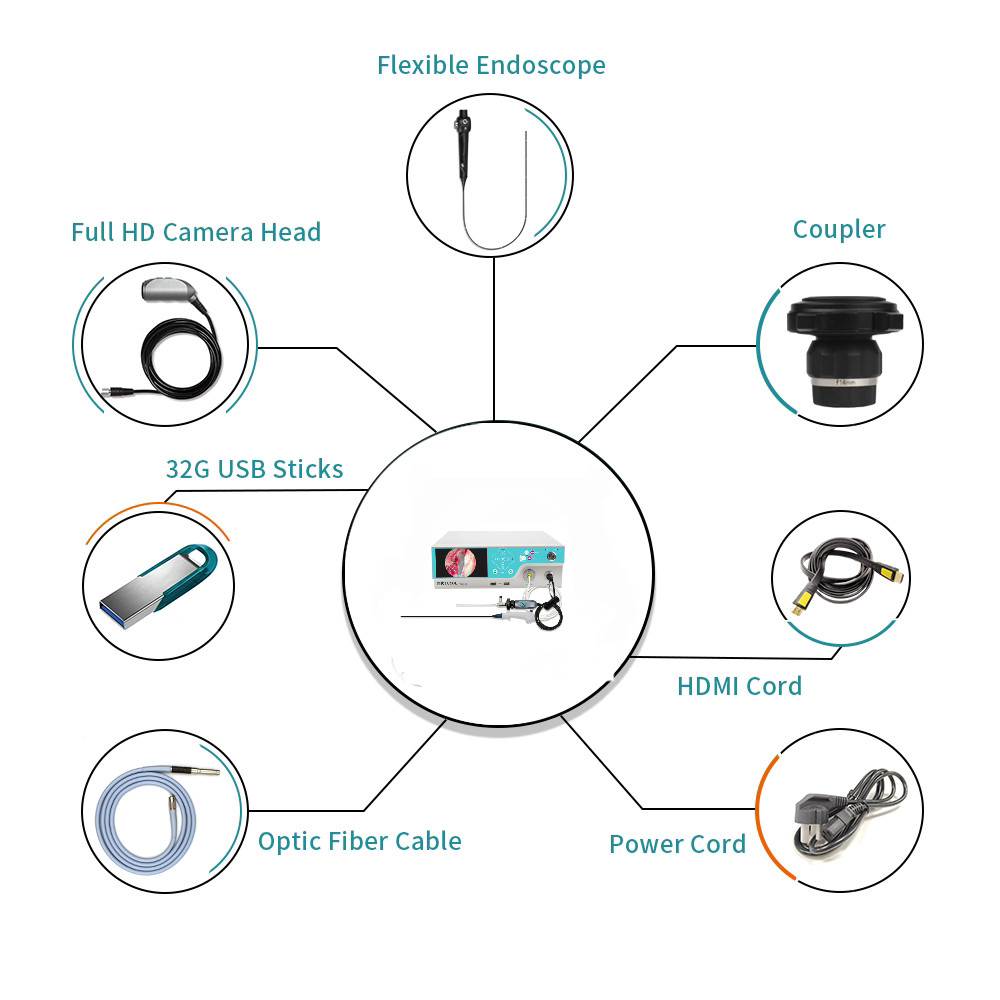 Advanced 4-in-1 Endoscopic System Featuring Simultaneous Rigid and Flexible Imaging